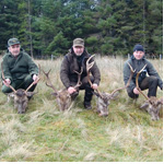 Deer Hunting Scotland